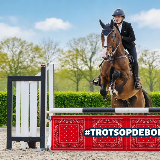 Hindernisdoek #Trotsopdeboer zakdoek